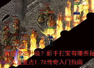 如何快速升级?新手打宝有哪些秘诀?火龙复古1.76传奇入门指南 如何快速升级?新手打宝有哪些秘诀?火龙复古1.76传奇入门指南
