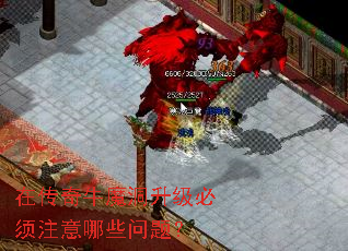 �ڴ���ţħ����������ע����Щ���⣿