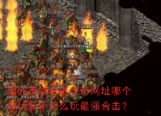 新开英雄合击传奇网址哪个好玩新手怎么玩最强合击? 新开英雄合击传奇网址哪个好玩新手怎么玩最强合击?