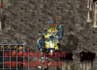 �¿�����SFսʿ��ʦ�����ĸ�ְҵ���ʺ��㣿