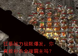 ��ս�����ޱ�������������ɱȫ��������