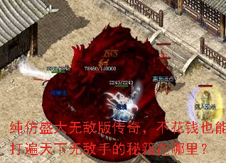 纯仿盛大无敌版传奇,不花钱也能打遍天下无敌手的秘籍在哪里? 纯仿盛大无敌版传奇,不花钱也能打遍天下无敌手的秘籍在哪里?