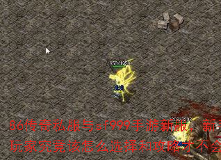 86传奇私服与sf999手游新服,新手玩家究竟该怎么选择和攻略才不会踩坑? 86传奇私服与sf999手游新服,新手玩家究竟该怎么选择和攻略才不会踩坑?