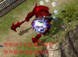 传奇战士应佩戴几号勋章才能发挥最强战力? 传奇战士应佩戴几号勋章才能发挥最强战力?