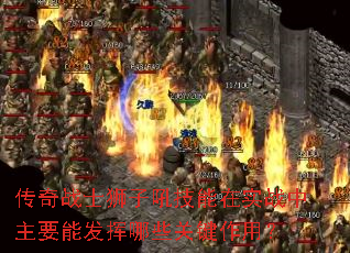����սʿʨ�Ӻ�����ʵս����Ҫ�ܷ�����Щ�ؼ����ã�