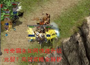传奇霸主如何快速升级元婴?高效攻略全解析 传奇霸主如何快速升级元婴?高效攻略全解析