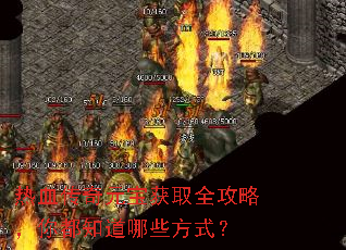 热血传奇元宝获取全攻略,你都知道哪些方式? 热血传奇元宝获取全攻略,你都知道哪些方式?