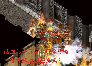 热血传奇元宝获取全攻略,你都知道哪些方式? 热血传奇元宝获取全攻略,你都知道哪些方式?