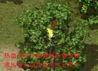 热血传奇中血腥魔妖兽天赋激活与升级共需多少元宝? 热血传奇中血腥魔妖兽天赋激活与升级共需多少元宝?
