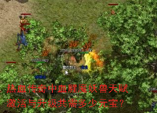 ��Ѫ������Ѫ��ħ�����츳�����������������Ԫ����