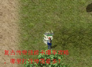���Ŵ��漼���鱬�ʹ��ԣ������ֵ�����ࣿ
