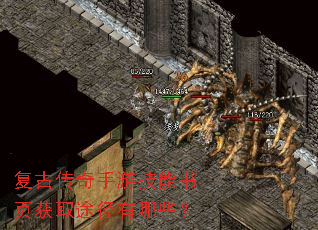 ���Ŵ������μ�����ҳ��ȡ;������Щ��