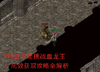 9转后何处挑战血龙玉?高效获取攻略全解析 9转后何处挑战血龙玉?高效获取攻略全解析