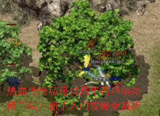 ��Ѫ����˽��12����ͻ���������أ��������Ź���ȫ����