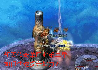 ն�촫�浥ְҵ�ڶ�����ο�������ս����
