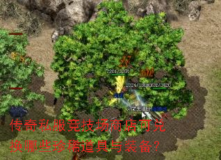 传奇私服竞技场商店可兑换哪些珍稀道具与装备? 传奇私服竞技场商店可兑换哪些珍稀道具与装备?