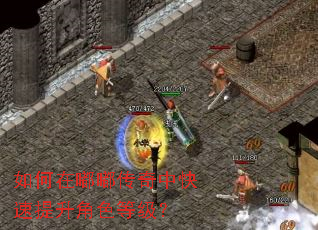 如何在嘟嘟传奇中快速提升角色等级? 如何在嘟嘟传奇中快速提升角色等级?