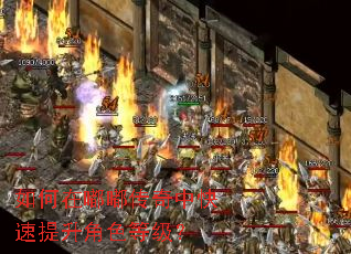 如何在嘟嘟传奇中快速提升角色等级? 如何在嘟嘟传奇中快速提升角色等级?