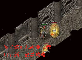多多练到几级能去赤月?新手必看攻略 多多练到几级能去赤月?新手必看攻略