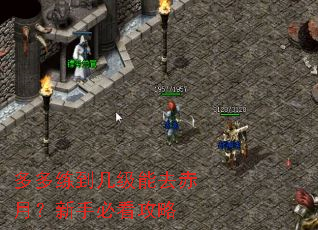 多多练到几级能去赤月?新手必看攻略 多多练到几级能去赤月?新手必看攻略