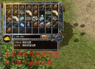 多多练到几级能去赤月?新手必看攻略 多多练到几级能去赤月?新手必看攻略