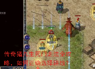 传奇猪九生死门走法全攻略,如何正确选择路线? 传奇猪九生死门走法全攻略,如何正确选择路线?