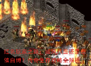 �������֮·��������滹�Ǳ����Ը����������湥��ȫ����