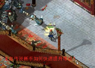 龙皇传说新手如何快速提升等级? 龙皇传说新手如何快速提升等级?