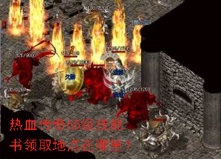 ��Ѫ����65����������ȡ�ص������