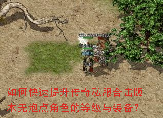 如何快速提升传奇私服合击版本无泡点角色的等级与装备? 如何快速提升传奇私服合击版本无泡点角色的等级与装备?