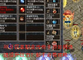 刚开区单职业传奇手游如何快速提升战力?新手必看攻略 刚开区单职业传奇手游如何快速提升战力?新手必看攻略