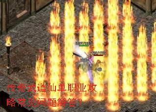 ��������ɵ�ְҵ���Գ���������