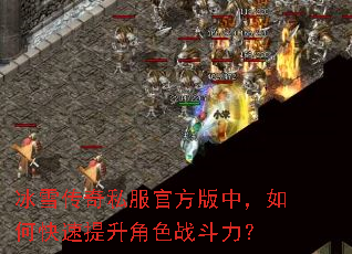 冰雪传奇私服官方版中,如何快速提升角色战斗力? 冰雪传奇私服官方版中,如何快速提升角色战斗力?