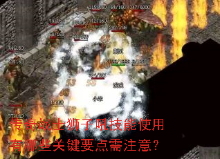 ����սʿʨ�Ӻ���ʹ������Щ�ؼ�Ҫ����ע�⣿