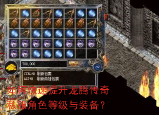 如何快速提升龙腾传奇私服角色等级与装备? 如何快速提升龙腾传奇私服角色等级与装备?