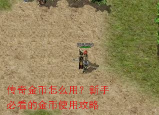 传奇金币怎么用?新手必看的金币使用攻略 传奇金币怎么用?新手必看的金币使用攻略