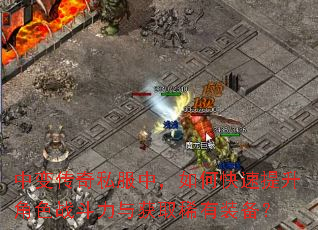 中变传奇私服中,如何快速提升角色战斗力与获取稀有装备? 中变传奇私服中,如何快速提升角色战斗力与获取稀有装备?