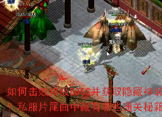 ��λ����ռ�BOSS����ȡ������װ��˽��Ƭβ���в�����Щͨ���ؼ���