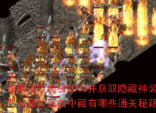 ��λ����ռ�BOSS����ȡ������װ��˽��Ƭβ���в�����Щͨ���ؼ���