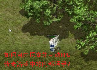 如何自由探索并互动RPG传奇游戏中的内部场景? 如何自由探索并互动RPG传奇游戏中的内部场景?