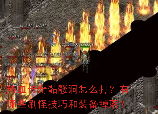 ��Ѫ�������ö���ô������Щˢ�ּ��ɺ�װ�����䣿