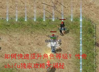 如何快速提升角色等级?传奇shifu独家攻略大揭秘 如何快速提升角色等级?传奇shifu独家攻略大揭秘