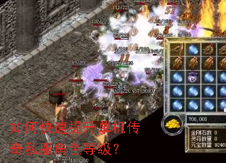 如何快速提升单机传奇私服角色等级? 如何快速提升单机传奇私服角色等级?