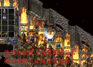 传奇私服新人礼包具体包含哪些奖励?如何领取使用? 传奇私服新人礼包具体包含哪些奖励?如何领取使用?