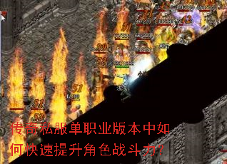 ����˽����ְҵ�汾����ο���������ɫս������