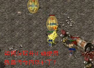 如何获取并正确使用热血传奇内功补丁? 如何获取并正确使用热血传奇内功补丁?