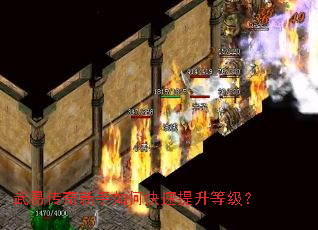 武易传奇新手如何快速提升等级? 武易传奇新手如何快速提升等级?