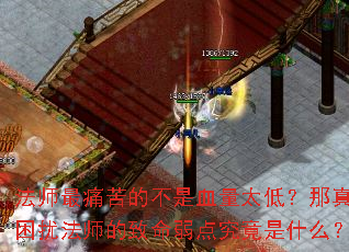 法师最痛苦的不是血量太低?那真正困扰法师的致命弱点究竟是什么? 法师最痛苦的不是血量太低?那真正困扰法师的致命弱点究竟是什么?