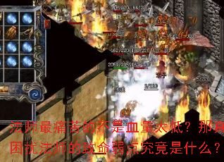 ��ʦ��ʹ��Ĳ���Ѫ��̫�ͣ����������ŷ�ʦ���������㾿����ʲô��