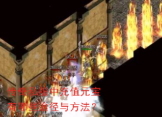 ����˽���г�ֵԪ������Щ;���뷽����